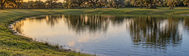 Restored Florida pond at sunset